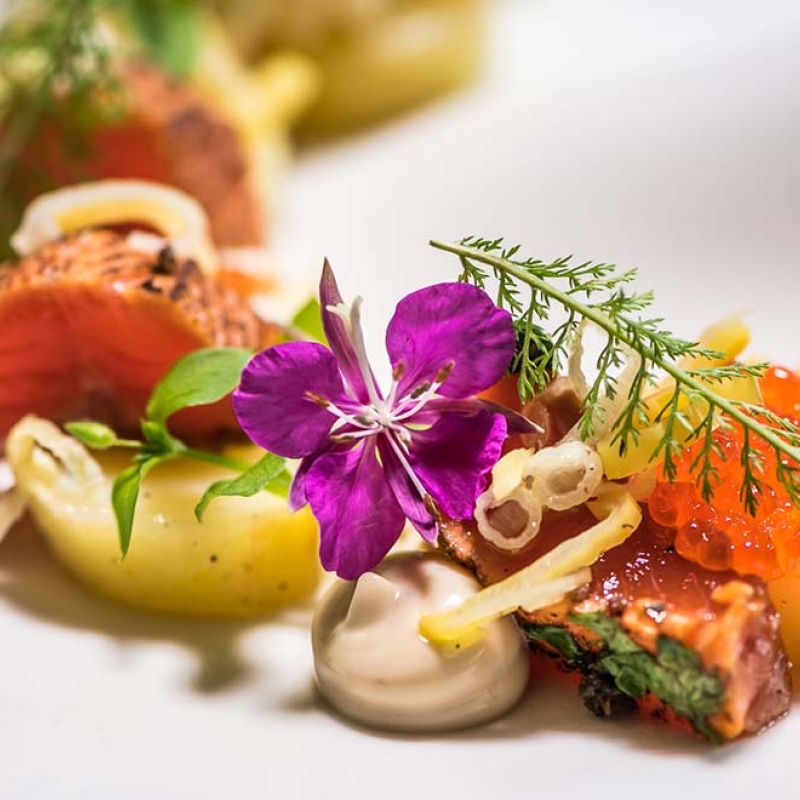 Tundra loimutettua lohta